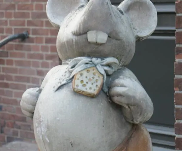 Oda ve Kahvaltı De Petrakerk